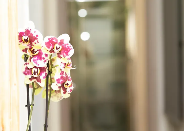 Prestige Penthouse - Breathtaking Parthenon Views In Plaka