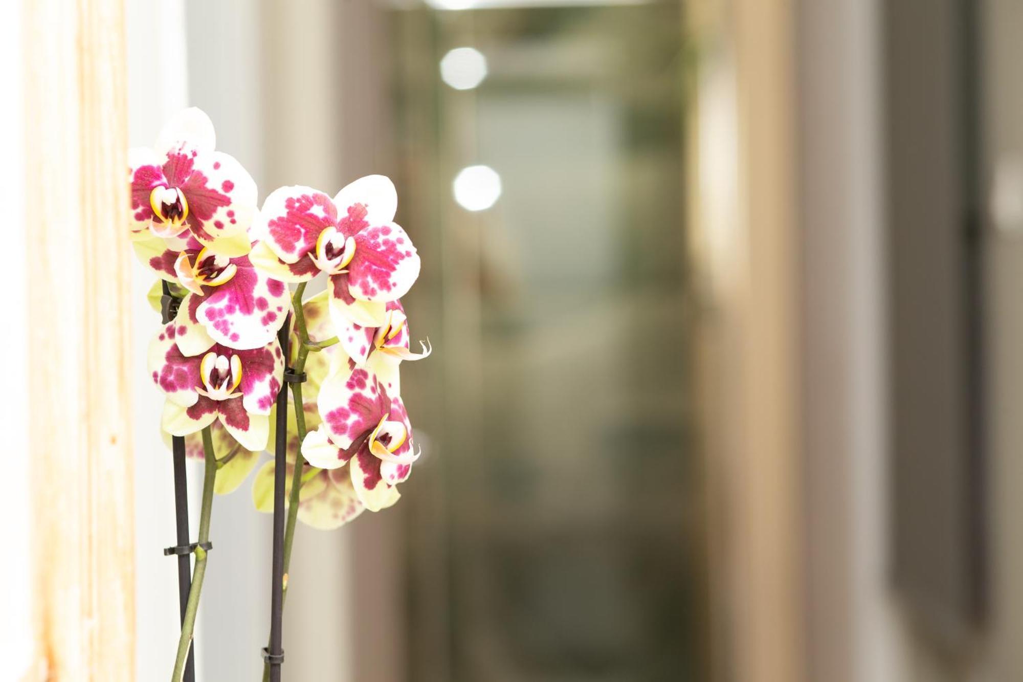 Prestige Penthouse - Breathtaking Parthenon Views In Plaka * Athen